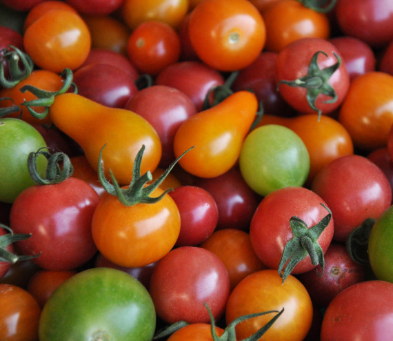 tomates cerises colorées (250 g)