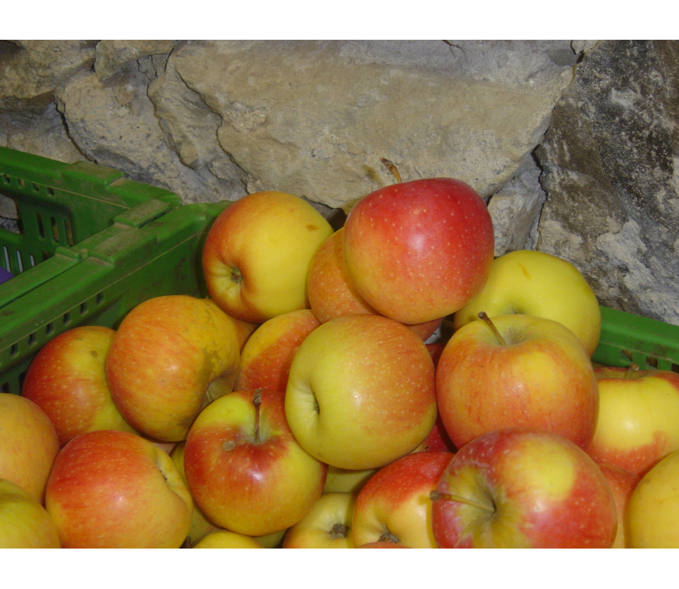 Pommes Florina Pommes Florina