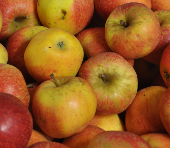 Aepfeln Kid's Orange
