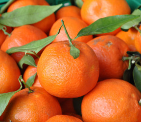 Clementines