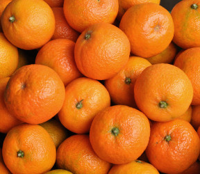 mandarines