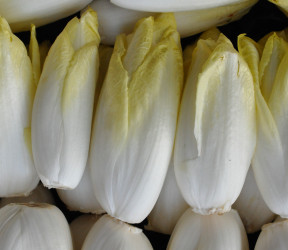 Endives