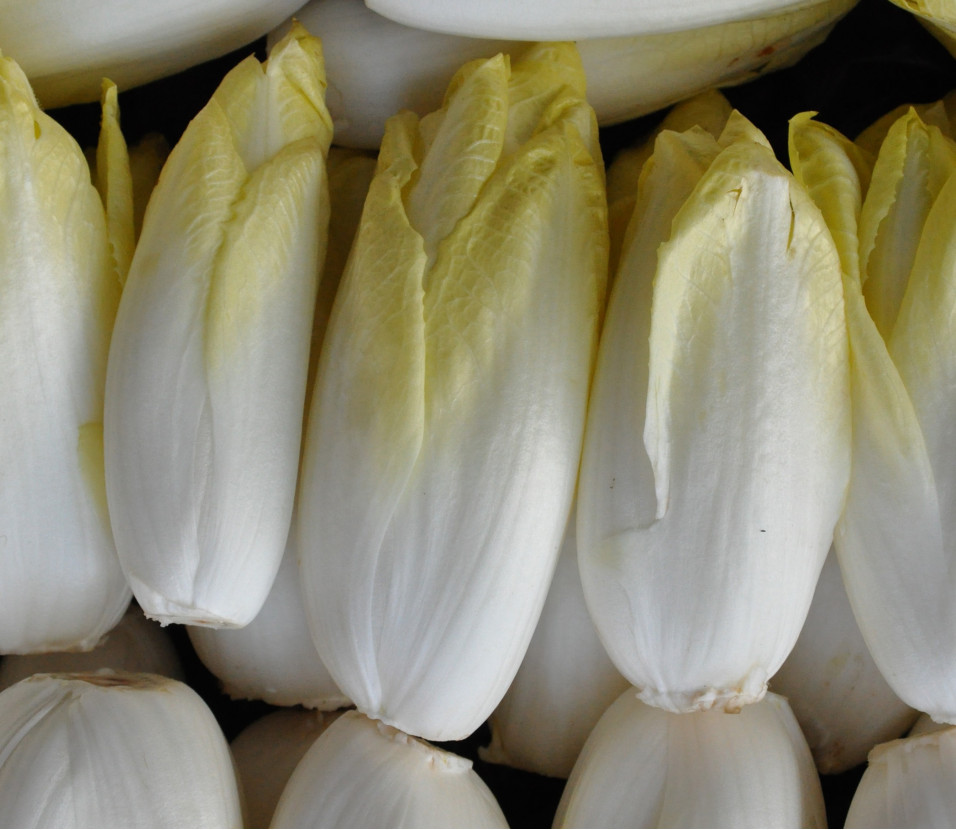 Endives