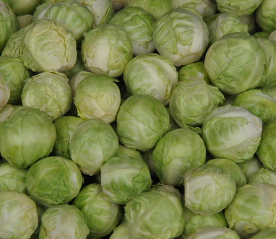 Chou de Bruxelles