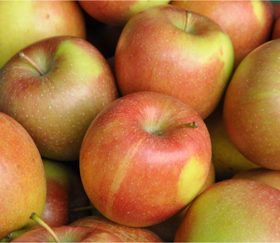 Aepfel Braeburn