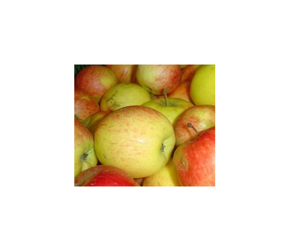 Aepfel Ariwa