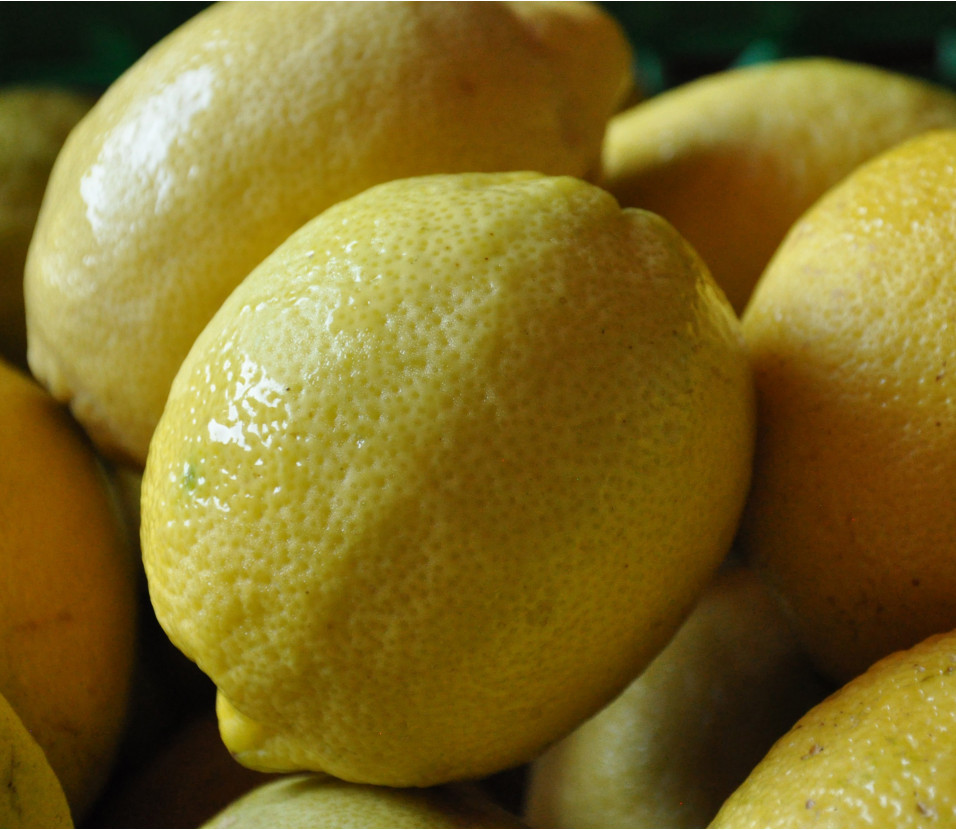 Citrons Citrons