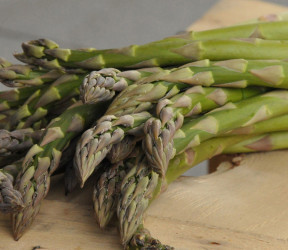 Asperges vertes (500 g)