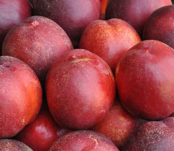 Nectarine