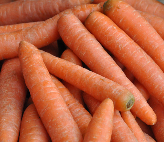 Carottes nouvelles