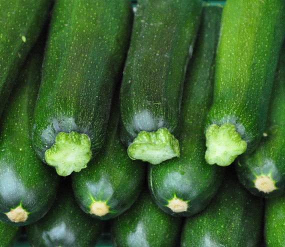 Courgette verte grande