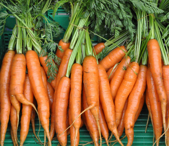 Carottes en botte
