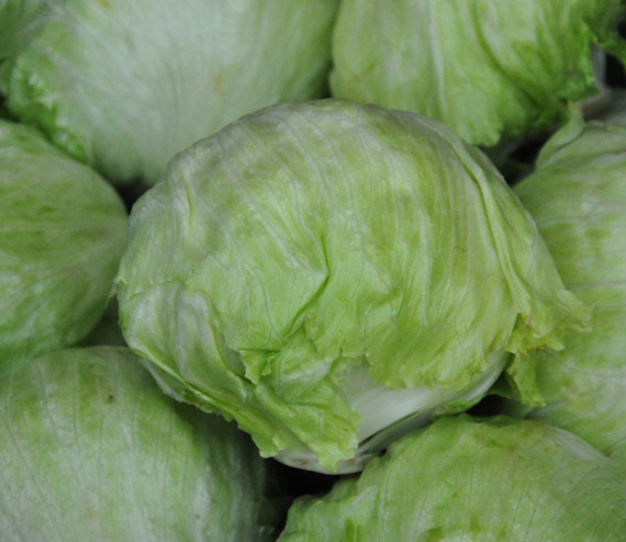 Iceberg Salat