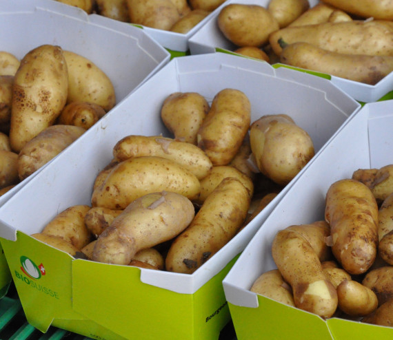 Pdt Ratte petites en barquettes de 500 g