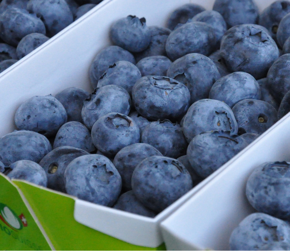 Heidelbeeren (250 g)