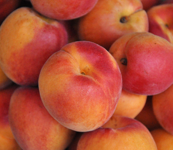 Abricots Valais