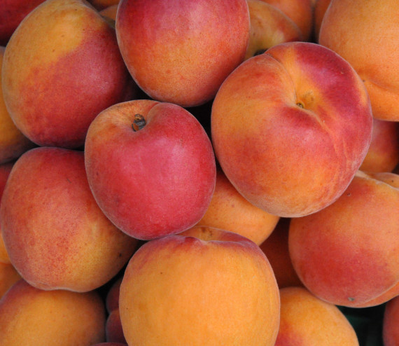 Abricots Valais