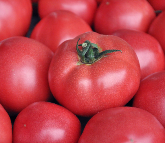 Tomate Rose de Berne