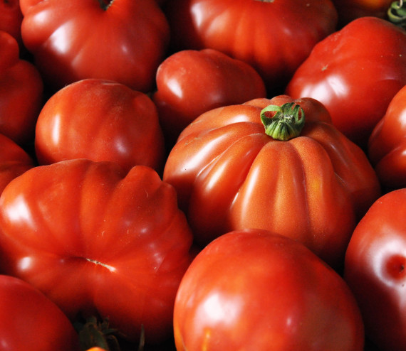 Tomate Ochsenherz