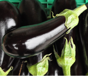 Aubergine