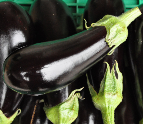 Aubergine