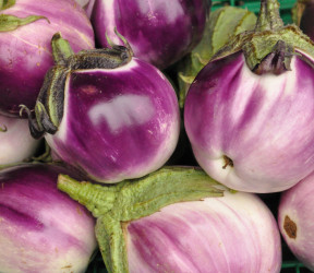 Aubergine