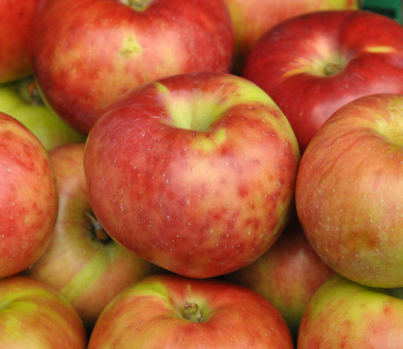 Pommes Gravensteiner