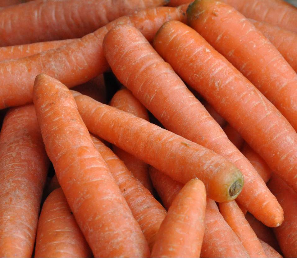 Carottes