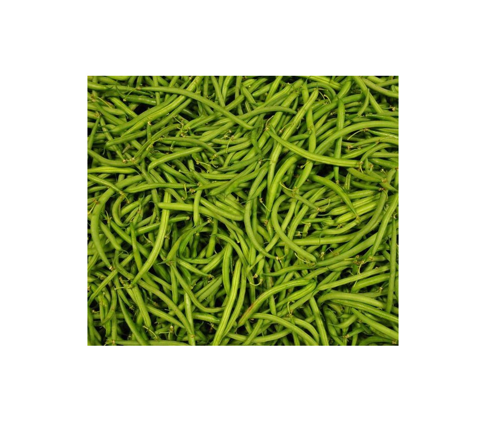 Haricots verts fins