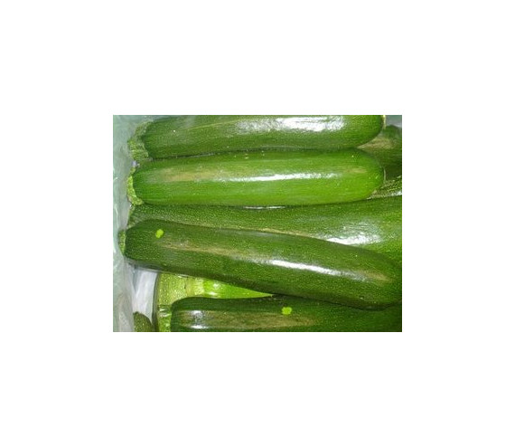 Zucchetti gr