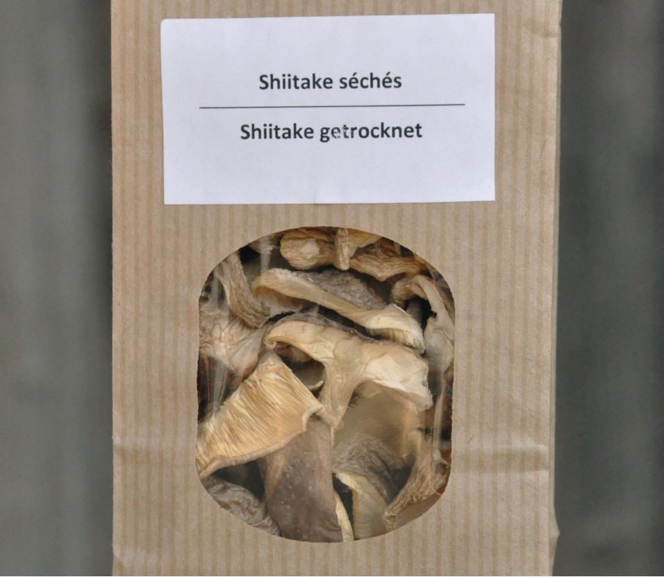 Champignons Shiitak Champignons Shiitak