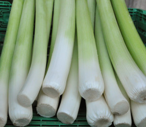 Poireaux vinaigrette