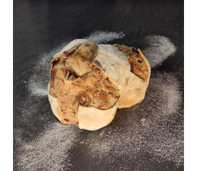 Pain Abricots-Noisettes 500g