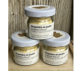 gingembre en poudre 10 g