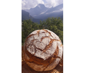 !! Les vacances des...