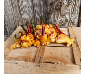 gingembre frais (kg)