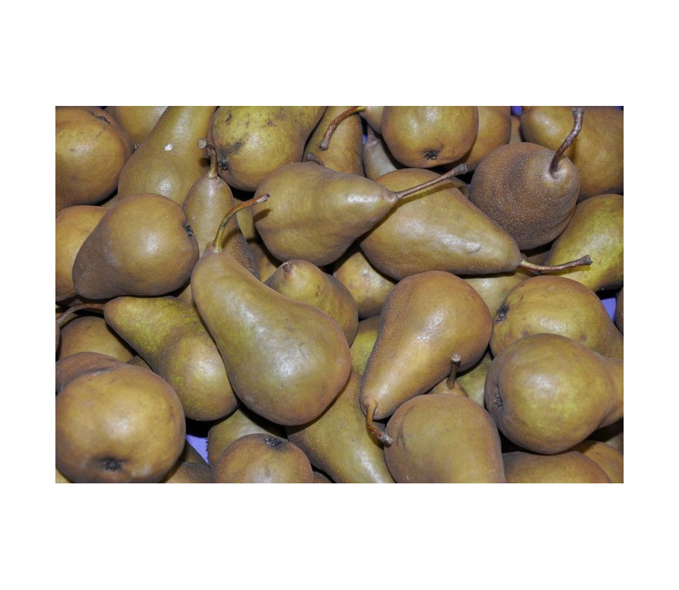 Poires Kaiser Alexander