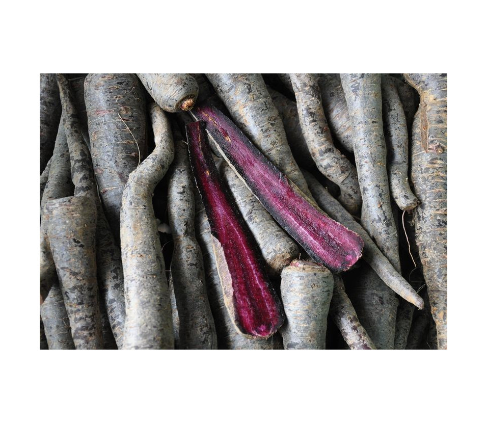 Carottes noires Carottes noires