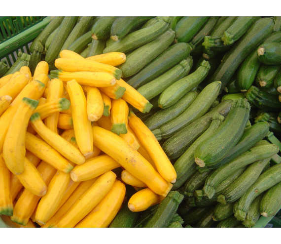 Courgette verte petite