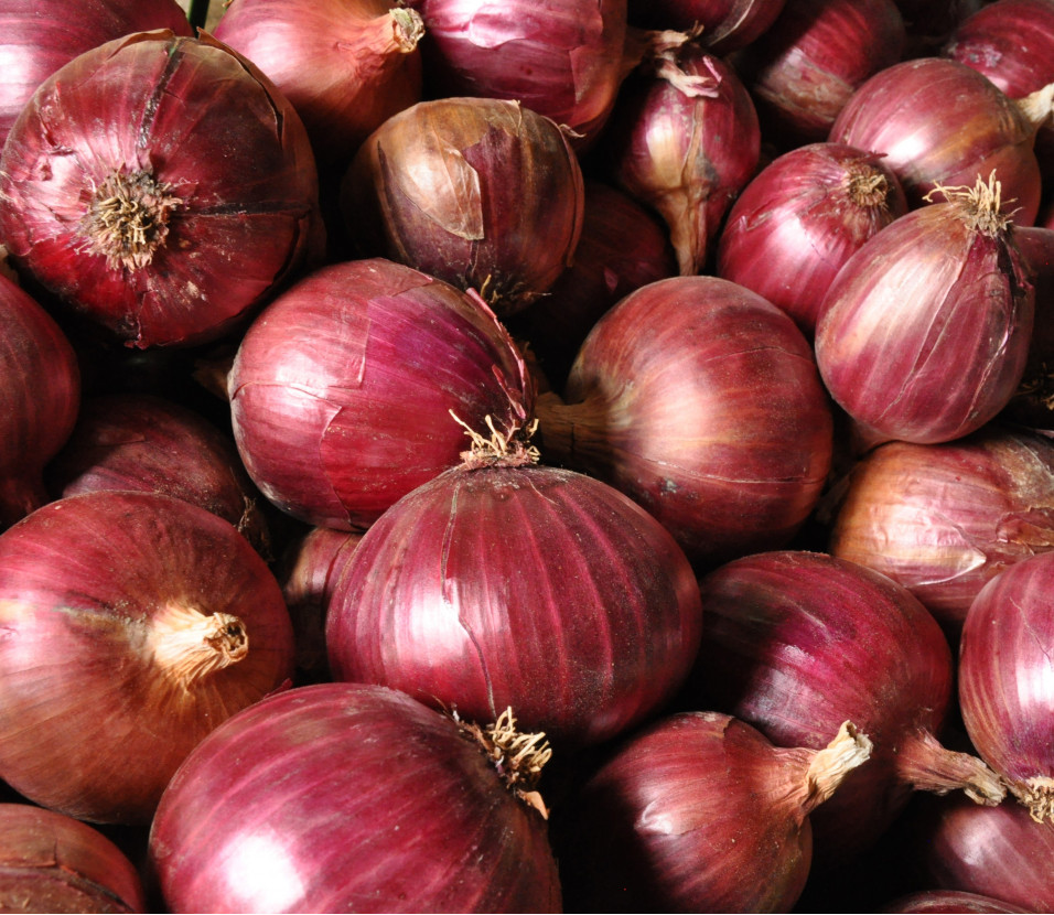 Zwiebeln rot Zwiebeln rot