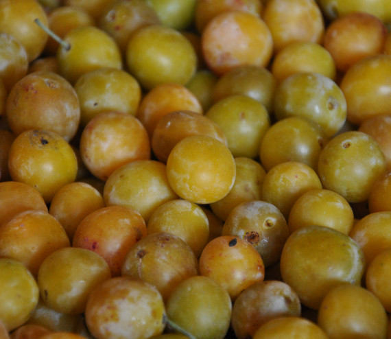 Mirabelle