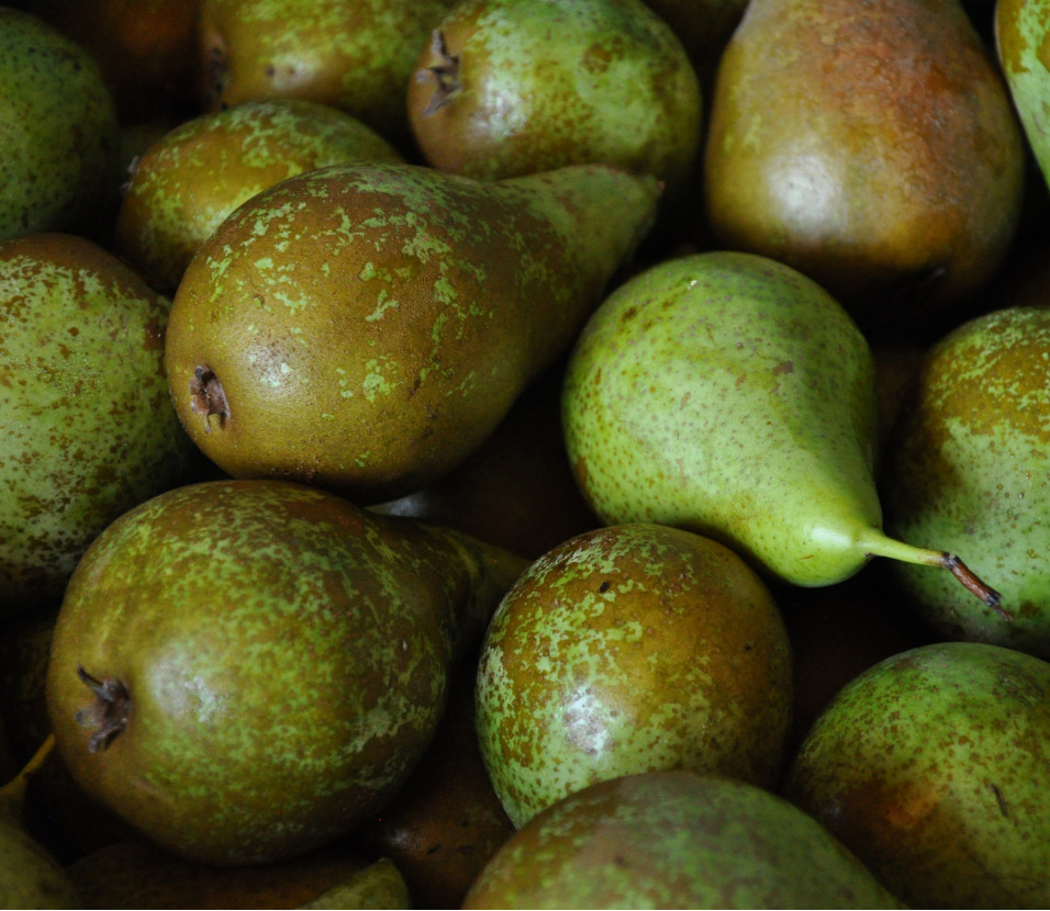 Birnen Conf Birnen Conf