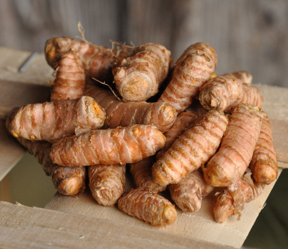 Curcuma frais