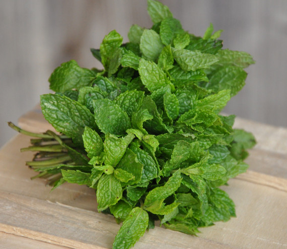 Menthe marocaine
