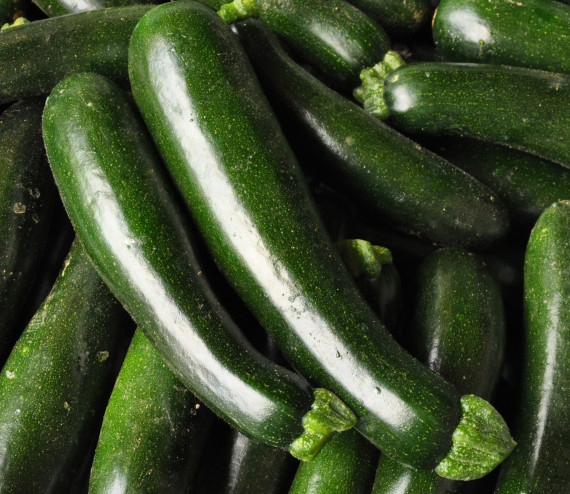 Courgette verte moyenne