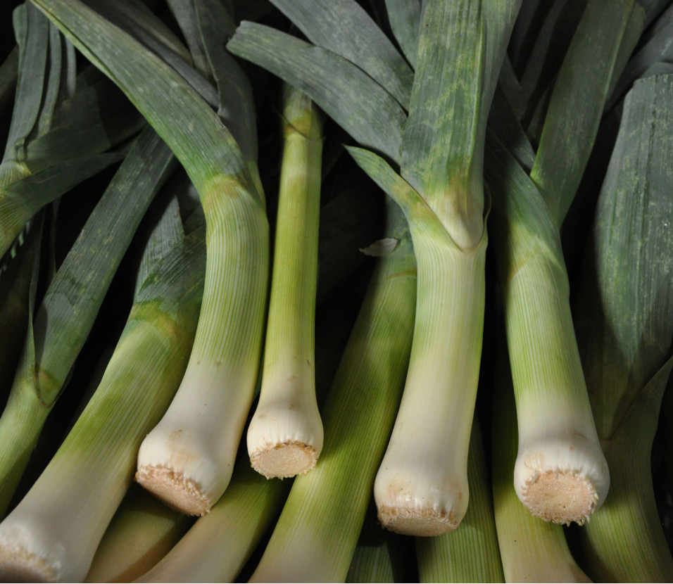 Poireaux verts