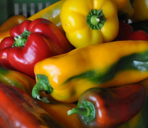 Poivrons couleurs