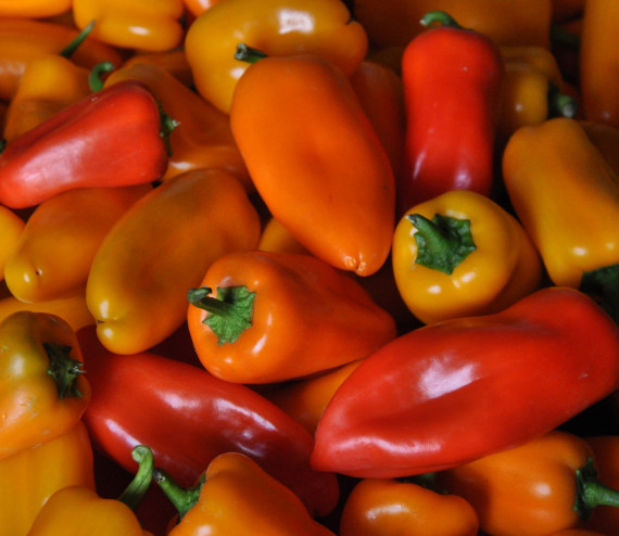 Poivrons couleurs