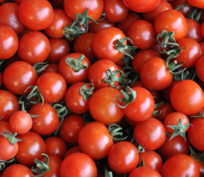 Tomate cherry rouges