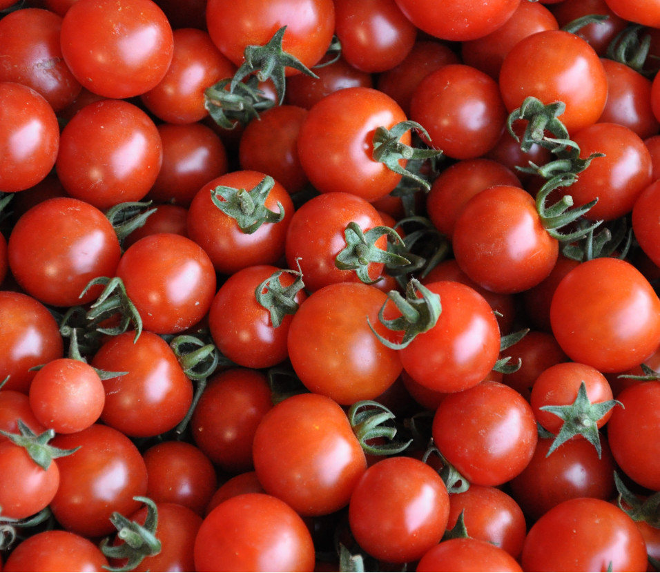 Tomate rot Cherry